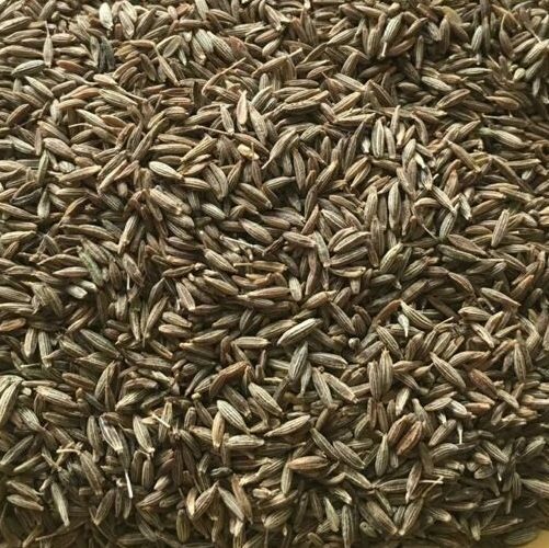 Cumin Seeds