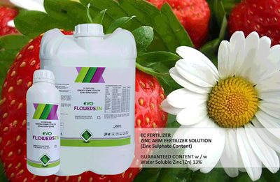 Evo Flowers Zn EC FERTILIZER ZINCARM SOLUTION